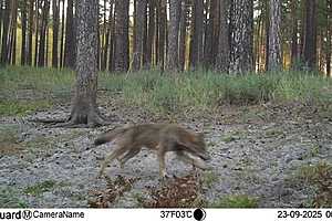 Фото предоставил  "Обозреватель.Врн"