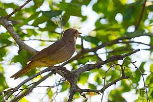 фото: Дмитрий Рогулин / "Городские вести"