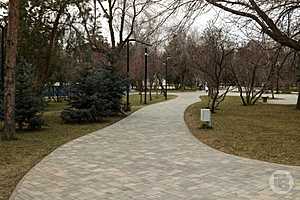 Фото: Дмитрий Рогулин/"Городские вести"