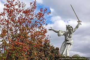 фото: Олег Димитров / "Городские вести"