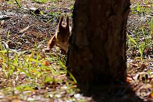 Фото: Дмитрий Рогулин / "Городские вести"