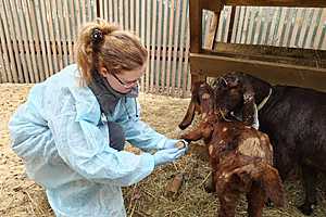 Фото предоставил Волгоградский ЦПКиО