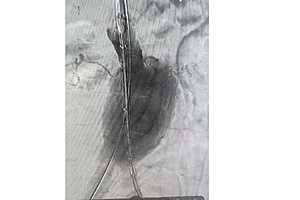 Фото: Комитет здравоохранения Волгоградской области