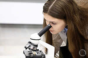 Фото: «Городские вести»