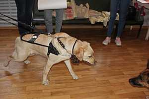 Фото предоставлено СФР по Волгоградской области