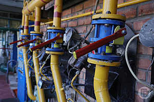 Фото: Дмитрий Рогулин / «Городские вести»