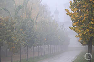 Фото: Дмитрий Рогулин / «Городские вести»