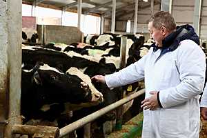 фото: Дмитрий Рогулин / "Городские вести"