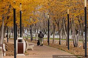 Фото: Олег Димитров / "Городские вести"