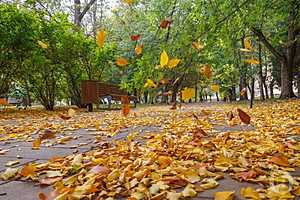 Фото: Дмитрий Рогулин / "Городские вести"