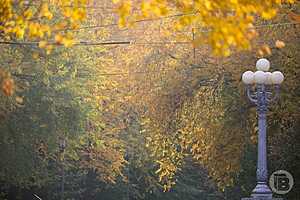 Фото: Дмитрий Рогулин / "Городские вести"