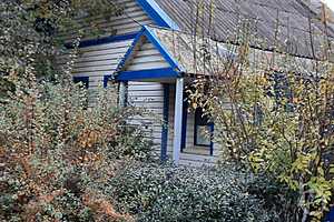 Фото: Елена Силантьева / "Городские вести"