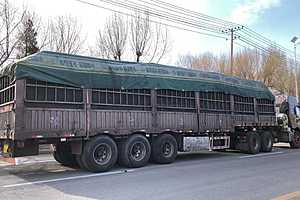 Фото: телеграм-канал "Мой парк"