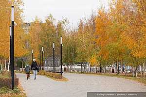 Фото: Олег Димитров / "Городские вести"