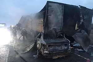 Фото: ГУ МВД России по Волгоградской области