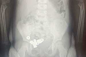 Фото: "Обозреватель.Врн"