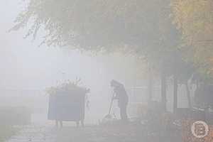 Фото: Дмитрий Рогулин / "Городские вести"