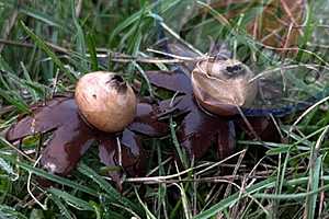 Фото предоставлено пабликом "Новоаннинский сегодня"
