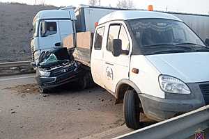 фото: ГУ МВД России по Волгоградской области