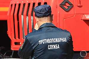 Фото: Дмитрий Рогулин/"Городские вести"