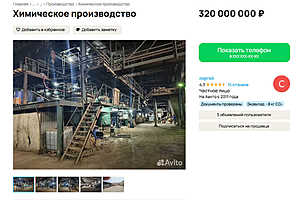 Фото: скриншот avito.ru