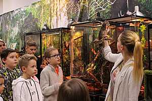 Фото предоставлено организаторами