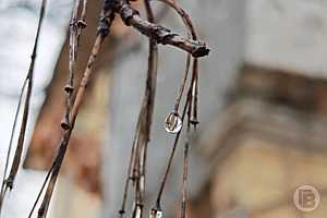 Фото: "Городские вести"