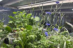 фото: облкомобразования