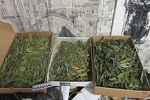 Фото: ГУ МВД России по Волгоградской области