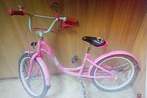 Фото: ГУ МВД России по Волгоградской области