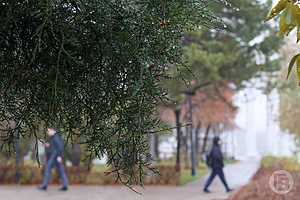 Фото: Дмитрий Рогулин / "Городские вести"