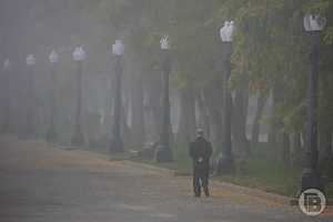 Фото: Дмитрий Рогулин / "Городские вести"