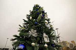 Фото: Дмитрий Рогулин/"Городские вести"