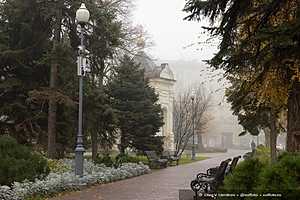 Фото: Олег Димитров / "Городские вести"