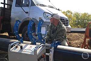 Фото: Дмитрий Рогулин/"Городские вести"