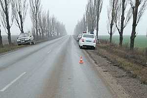 Фото: ГУ МВД России по Волгоградской области