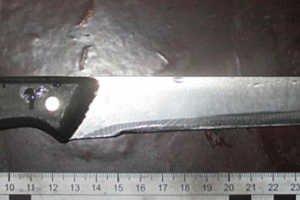 Фото: ГУ МВД России по Волгоградской области