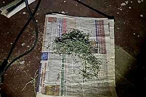 Фото: ГУ МВД России по Волгоградской области