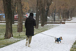 Фото: Дмитрий Рогулин / «Городские вести»