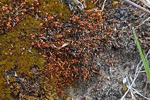 фото: облкомприроды