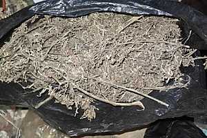 Фото: ГУ МВД России по Волгоградской области