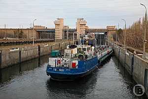 фото: Дмитрий Рогулин / "Городские вести"