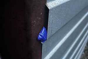 фото: ГУ МВД России по Волгоградской области