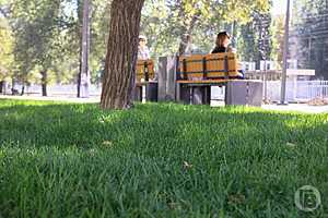 фото: Дмитрий Рогулин / "Городские вести"