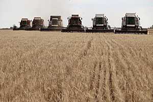 Фото: Дмитрий Рогулин / "Городские вести"