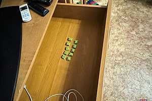 Фото: ГУ МВД России по Волгоградской области