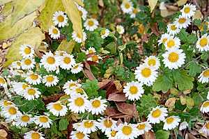 Фото: Евгения Иванова/"Городские вести"