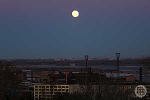 Фото: Дмитрий Рогулин / «Городские вести»