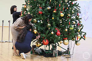 Фото: Дмитрий Рогулин / «Городские вести»