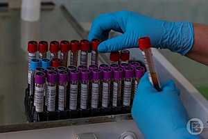 Фото: Дмитрий Рогулин / "Городские вести"